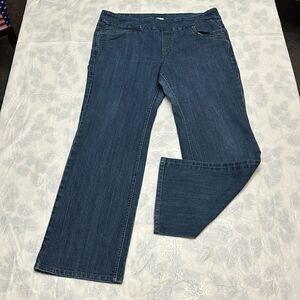 Blueberry women’s denim jeans with elastic waist size 16W